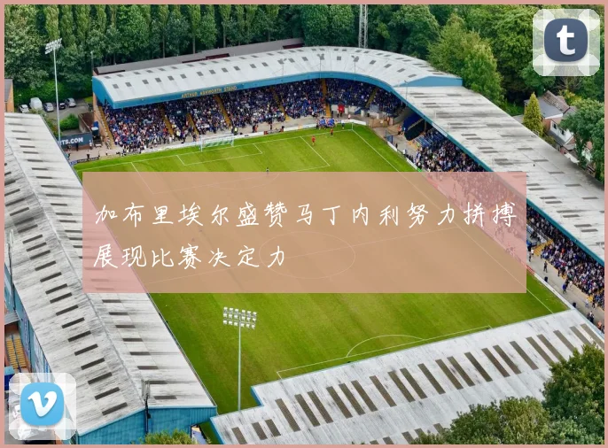 加布里埃尔盛赞马丁内利努力拼搏展现比赛决定力