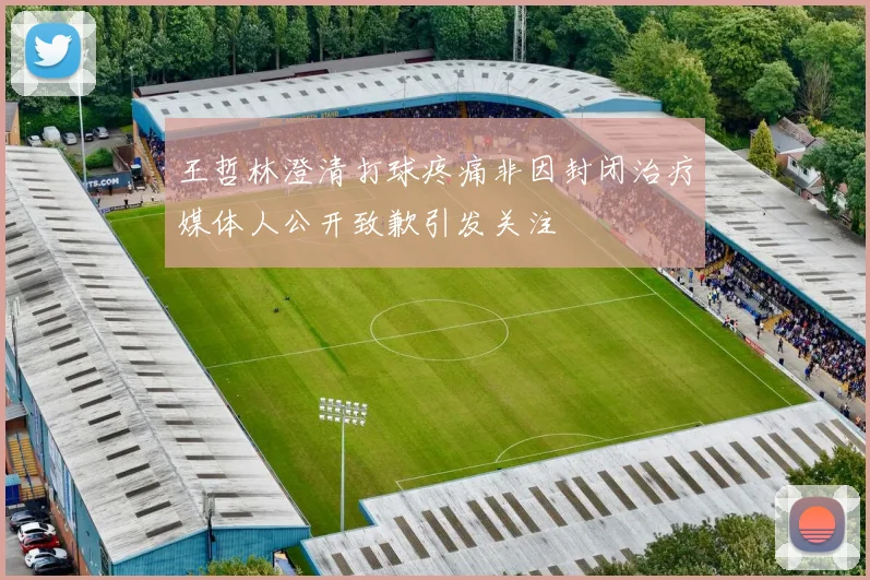 王哲林澄清打球疼痛非因封闭治疗媒体人公开致歉引发关注