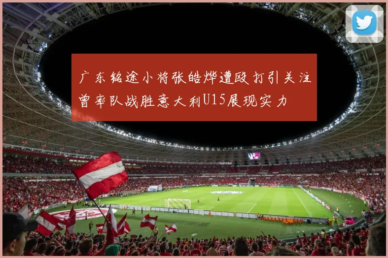 广东铭途小将张皓烨遭殴打引关注曾率队战胜意大利U15展现实力