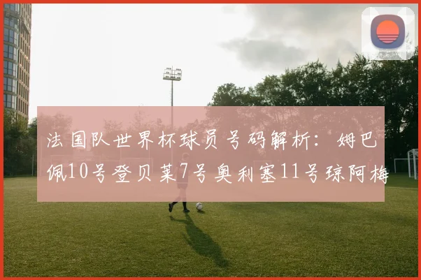 法国队世界杯球员号码解析：姆巴佩10号登贝莱7号奥利塞11号琼阿梅尼8号